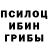Псилоцибиновые грибы GOLDEN TEACHER Magen Dran