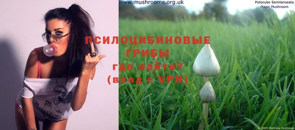 молекула духа Медвежьегорск