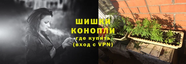 молекула духа Медвежьегорск