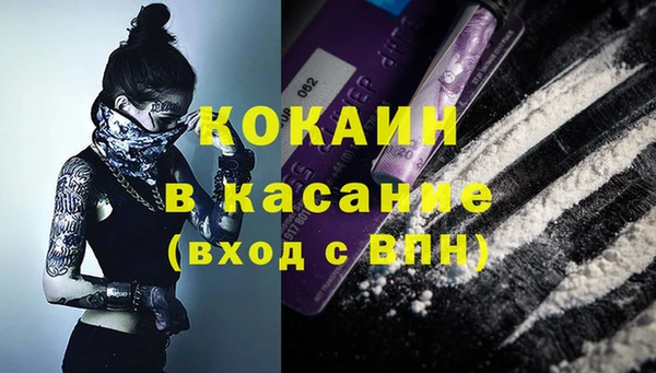 сатива Мегион