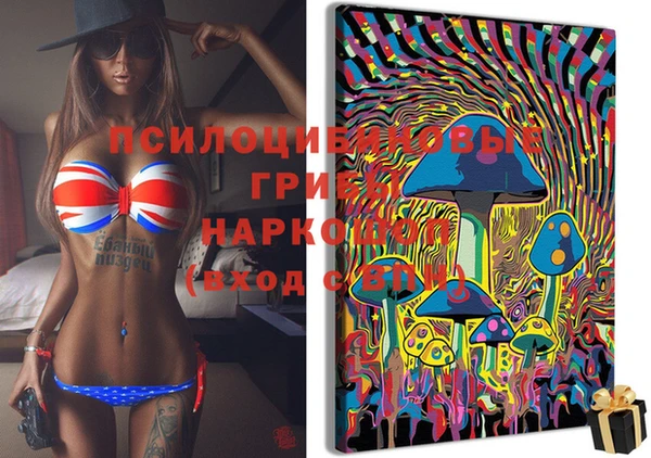 молекула духа Медвежьегорск