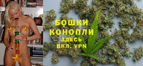 молекула духа Медвежьегорск
