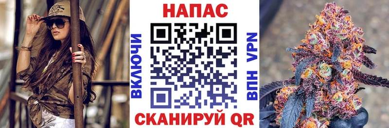 Бошки Шишки план  Купить  Белая Калитва 